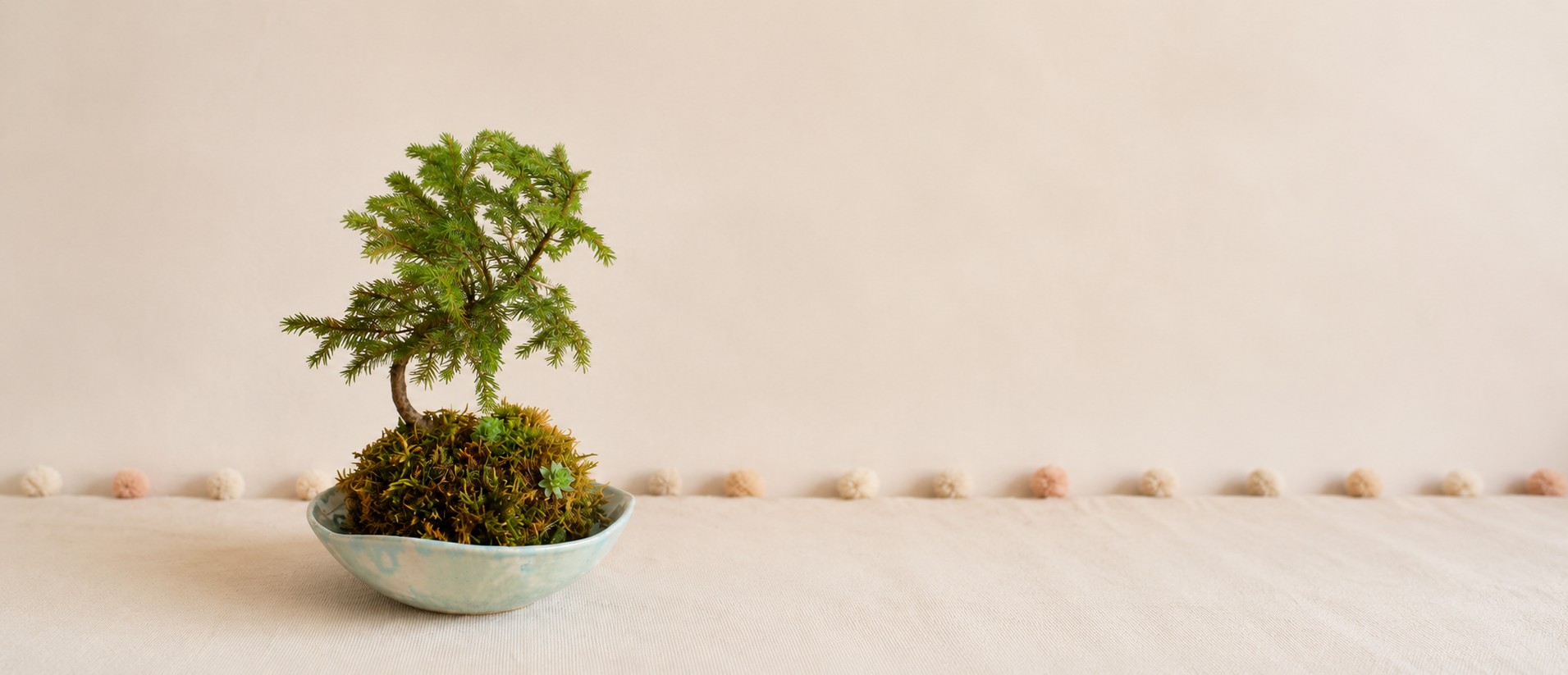 kokedama2